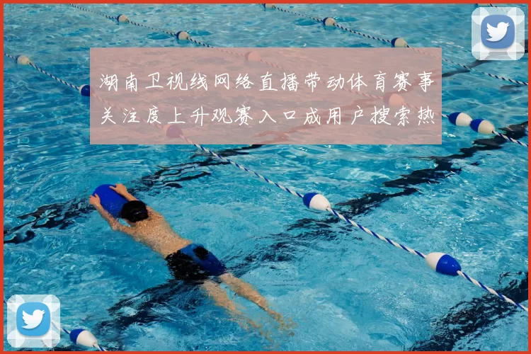 湖南卫视线网络直播带动体育赛事关注度上升观赛入口成用户搜索热点