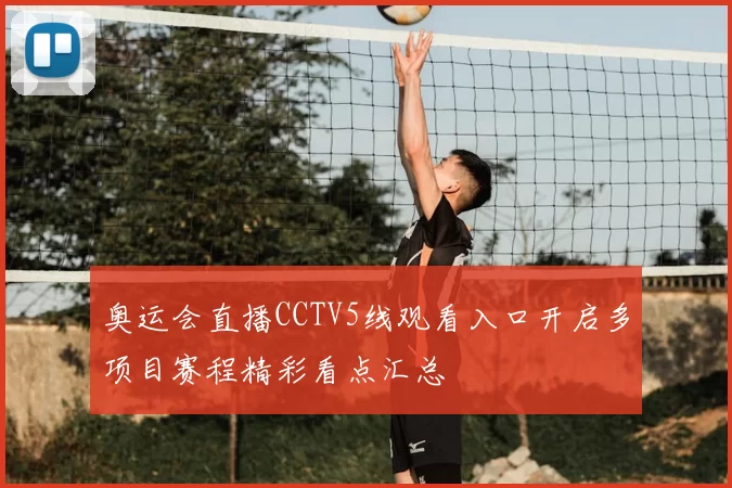 奥运会直播CCTV5线观看入口开启多项目赛程精彩看点汇总