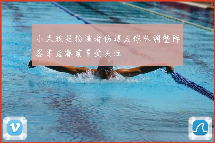 小天狼星扮演者伤退后球队调整阵容季后赛前景受关注