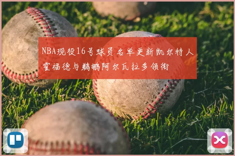 NBA现役16号球员名单更新凯尔特人霍福德与鹈鹕阿尔瓦拉多领衔